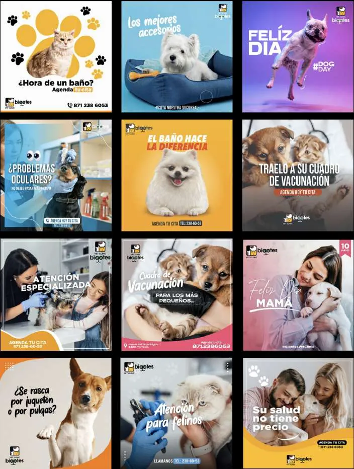 Línea visual de publicaciones para redes sociales: veterinaria