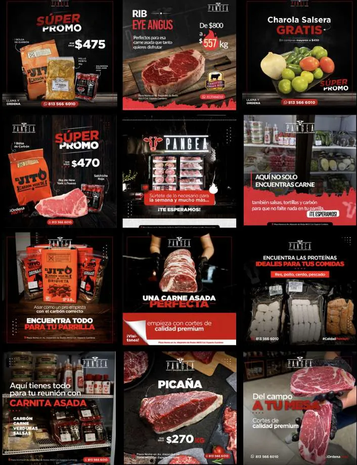 Línea visual de publicaciones para redes sociales: carnes y cortes